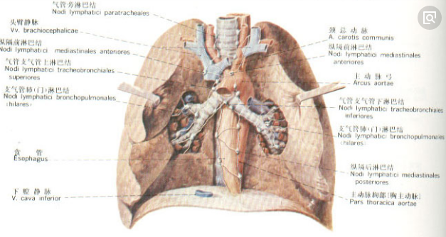 ny29_780846.png d6.png