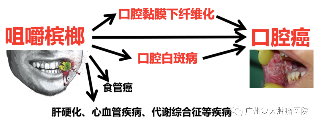 ny27_826224.png ny27_826224.png