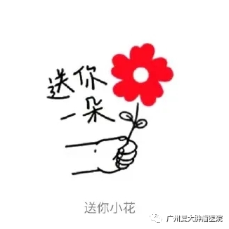 ny05_895143.png c6.png