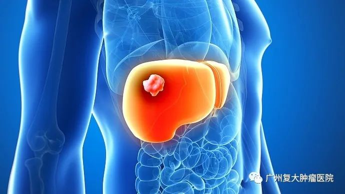 ny29_327558.jpg ny29_327558.jpg