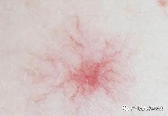 ny29_899577.jpg ny29_899577.jpg