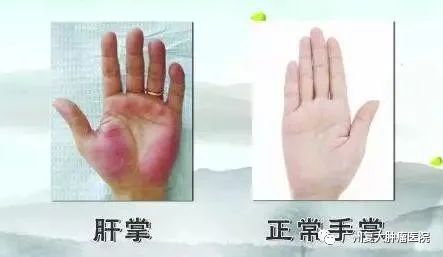 ny29_937532.jpg c5.jpg