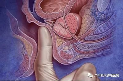 ny06_413395.jpg ny06_413395.jpg