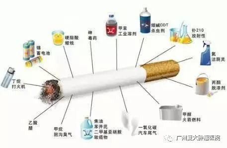 ny31_396628.jpg a113.jpg