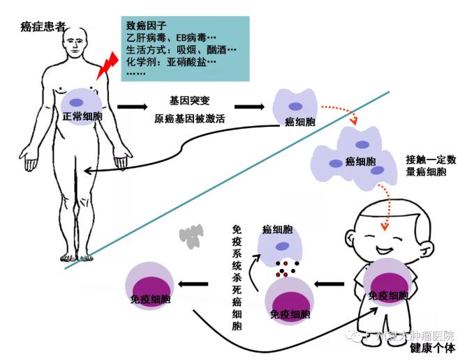 ny03_499586.jpg 334.jpg