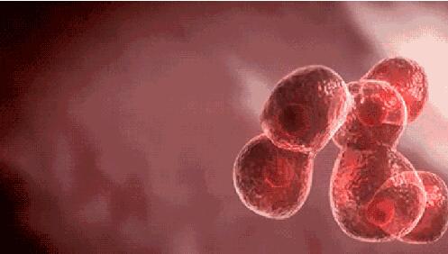 ny03_839514.jpg ny03_839514.jpg