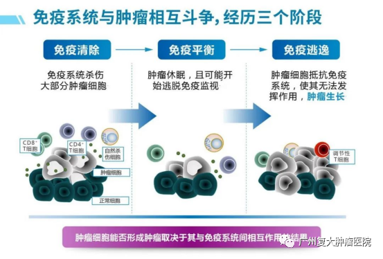 ny15_191132.png 微信图片_20221215173146.png