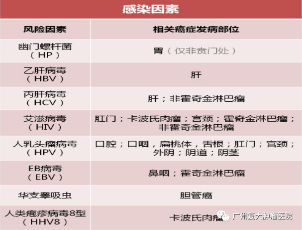 ny13_447265.png d6.png