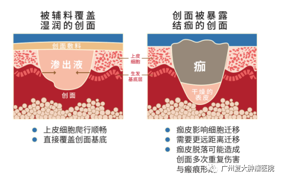 ny24_274834.png cc4.png
