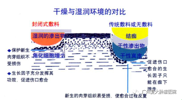 ny24_834374.png cc3.png